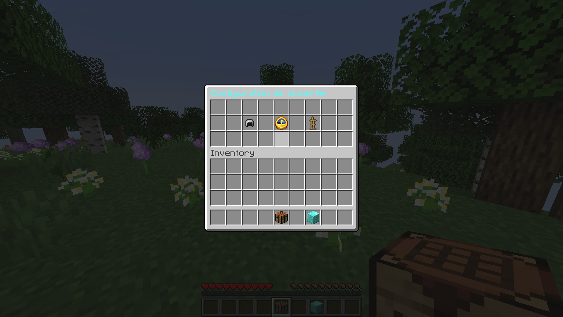 Menu de Configuration