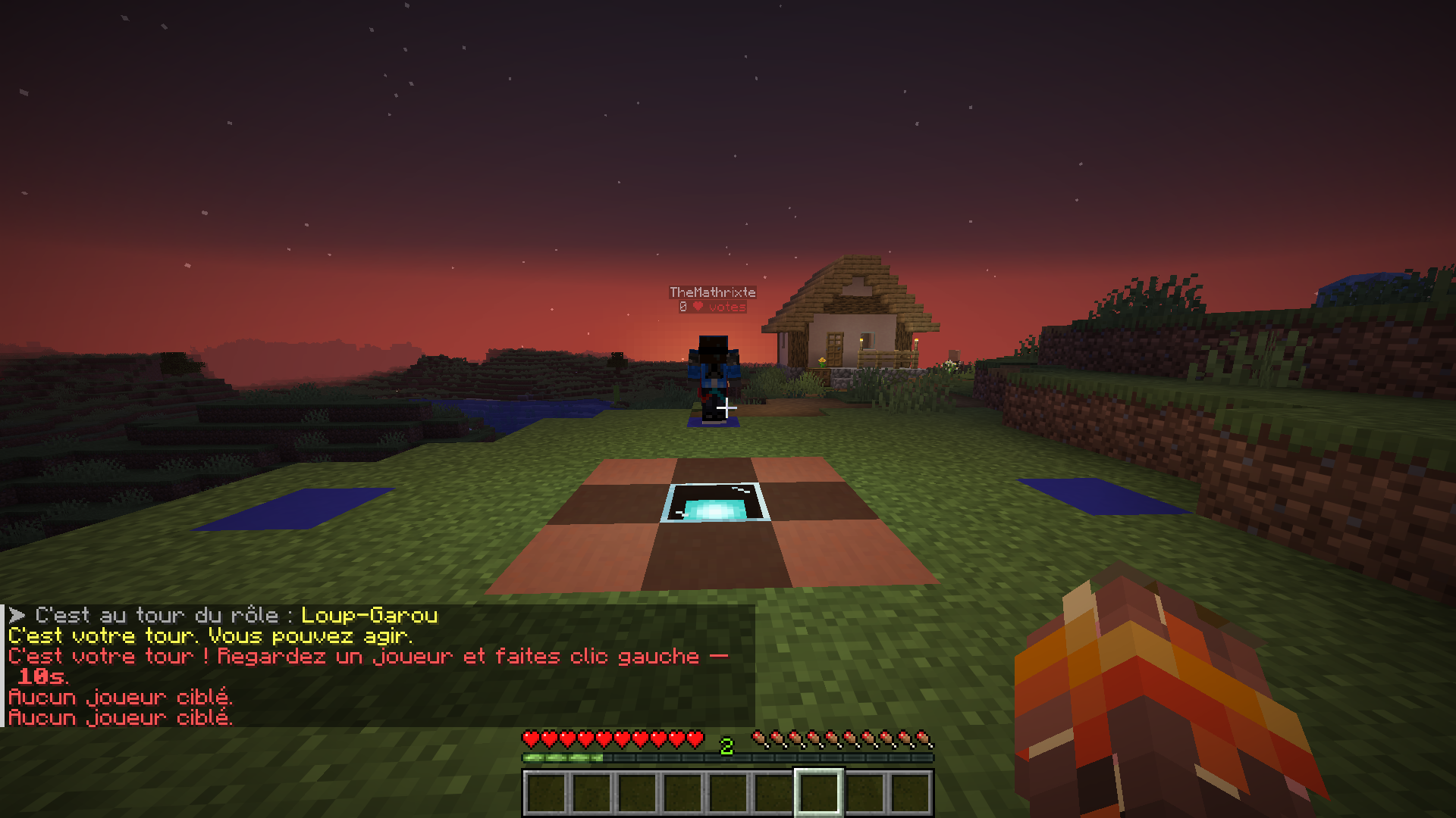 Vision jeu en Loup